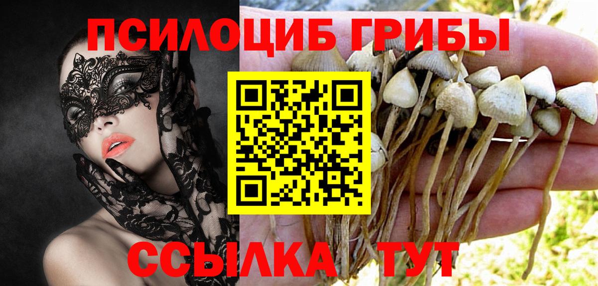Псилоцибиновые грибы мицелий Керчь
